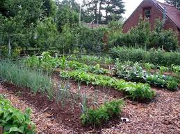 40 Vegetable Garden Design Ideas What