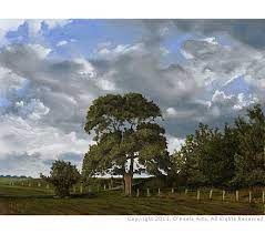 Landscape Oil Painter John O Keefe