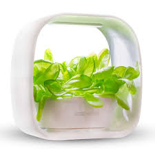 Plant T Self Watering Herb Planter With