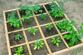 Square Foot Gardening The Seed Collection