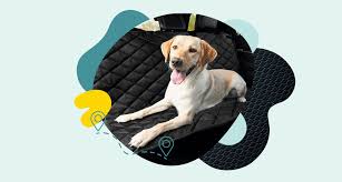 The Best Dog Car Seat Covers To Protect