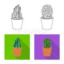 Isolated Object Of Cactus And Pot Logo