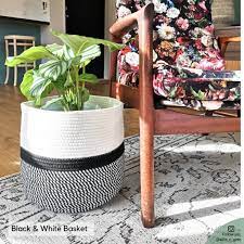 Plant Pot For Indoor Plants 3