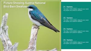 Picture Showing Austria National Bird