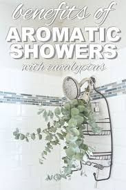 Fresh Eucalyptus In The Shower