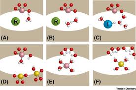 active site interactions in zeolites