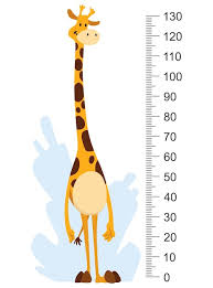 Height Measure With Growth Ruler Chart