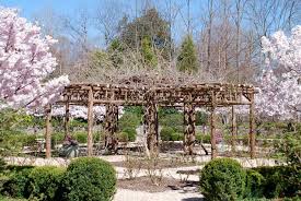 Rustic Arbors Pergolas Branch