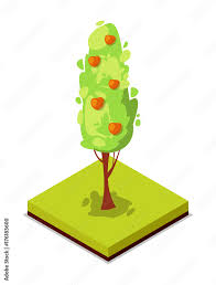 Green Apple Tree Isometric 3d Icon