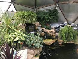 How To Create A Beautiful Pond Garden