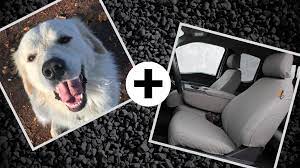 Dogs Tigertough How Do The Seat