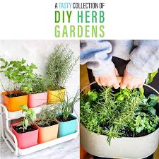 A Tasty Collection Of Diy Herb Gardens
