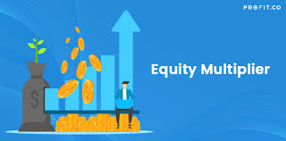 Equity Multiplier Financial Kpis