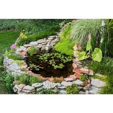 Garden Backyard Pond