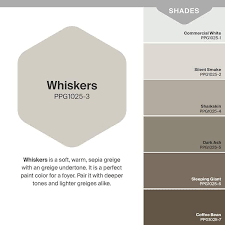 Whiskers Satin Interior Paint Sample