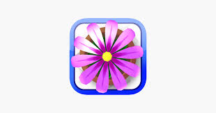 Flower Garden Grow Flowers And Send