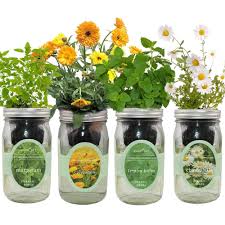 Herb Hydroponic Garden Environet