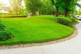 4 Options For Landscape Edging Styles