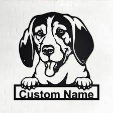 Custom Treeing Walker Coonhound Dog