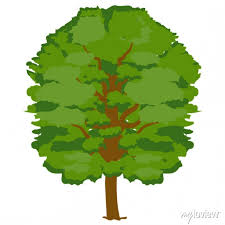A Natural Shady Tree Icon Botanical