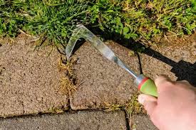 Household Item Kills Patio Weeds
