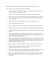 Cellular Respiration Exam Study Guide