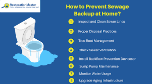 Sewage Backup In The Basement