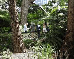 Plant S At Sydney Botanic Gardens