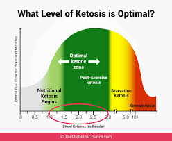 the ultimate guide to ketone testing