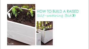 Build A Raised Sub Irrigation Bed