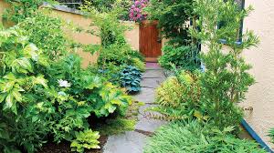 Side Yard Ideas