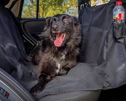 Rear Seat Cover For Dogs 4x4 Pickup