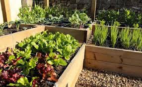 The Benefits Of Raised Bed Gardening