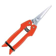 Ars Needle Nose Pruning Shears