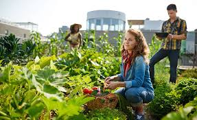 Start Your Own Edible Garden