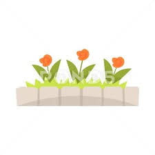 Orange Flowers In Flowerbed With Stone