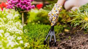 Spring Gardening Tips Composting