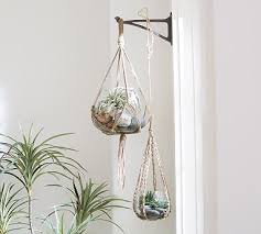 Hanging Glass Terrarium With Rope