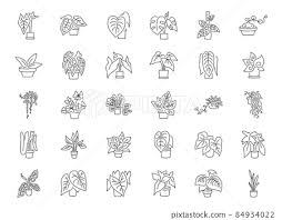 Indoor Plant Line Icon Set Included