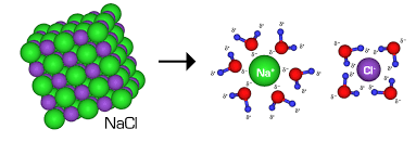 Complete Ionic And Net Ionic Equations