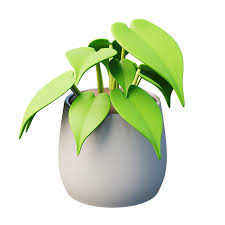 House Plant 3d Ilration Pack