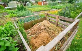 Safely Using Manure In The Garden