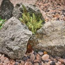 Kelkay Rockery Stone Black Mountain