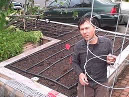 How To Plant 11 Tomato Plants In A