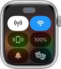 Status Icons And Symbols On Apple Watch