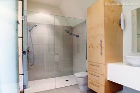 Bath And Shower Enclosures Frameless