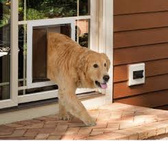 Glass Door And Install A Pet Door