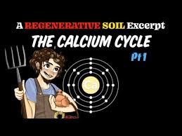 Plant Essential Elements Calcium Cycle