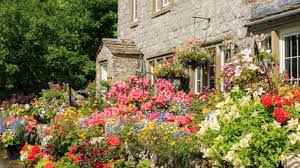 Creating A Quaint Cottage Garden