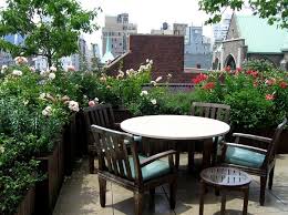 Best Terrace Roof Garden Plants You